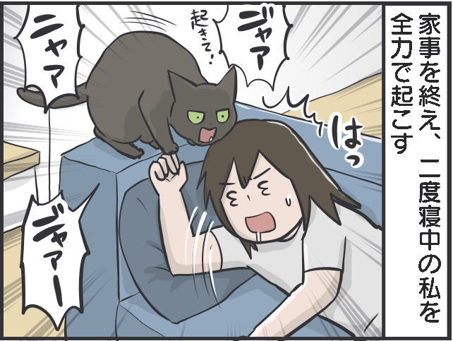 君たちは自由だな！ 甘える、ごはん、寝る、ストーカーになる...猫たちのスケジュール／フニャコ（5）