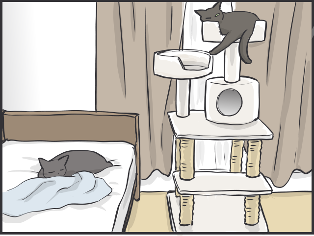 君たちは自由だな！ 甘える、ごはん、寝る、ストーカーになる...猫たちのスケジュール／フニャコ（6）