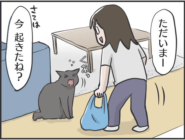君たちは自由だな！ 甘える、ごはん、寝る、ストーカーになる...猫たちのスケジュール／フニャコ（7）