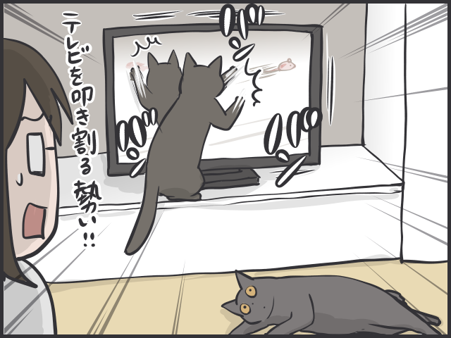 君たちは自由だな！ 甘える、ごはん、寝る、ストーカーになる...猫たちのスケジュール／フニャコ（8）