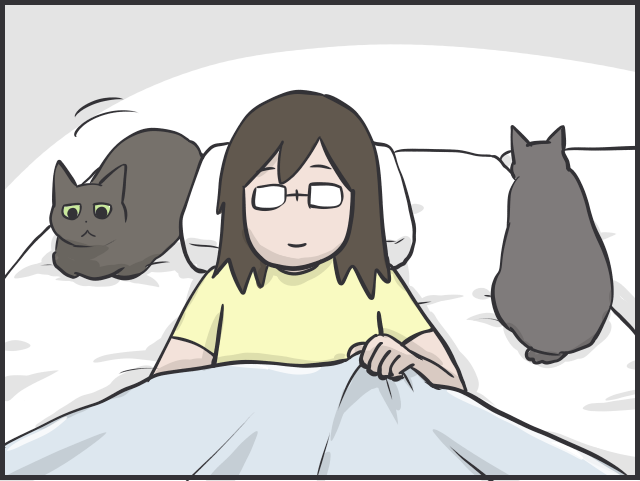 君たちは自由だな！ 甘える、ごはん、寝る、ストーカーになる...猫たちのスケジュール／フニャコ（9）
