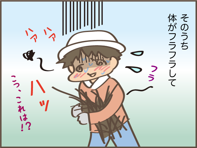 暑い中での畑の作業。水分補給もしていたけれど倒れる寸前に...／しまえもん（1）