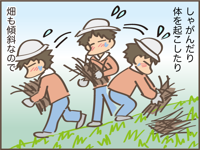 暑い中での畑の作業。水分補給もしていたけれど倒れる寸前に...／しまえもん（3）