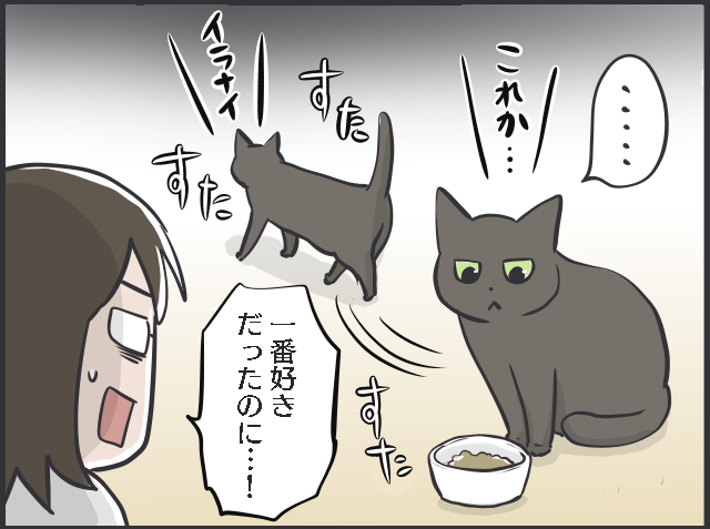 ごはんやおもちゃ...猫の飽きっぽさは人間以上!? ブームの移り変わりが激しい...！／フニャコ（2）
