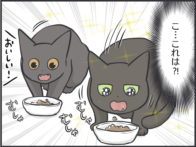 ごはんやおもちゃ...猫の飽きっぽさは人間以上!? ブームの移り変わりが激しい...！／フニャコ（3）