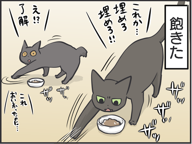 ごはんやおもちゃ...猫の飽きっぽさは人間以上!? ブームの移り変わりが激しい...！／フニャコ（5）