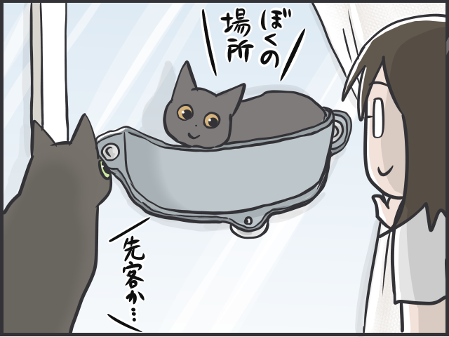 ごはんやおもちゃ...猫の飽きっぽさは人間以上!? ブームの移り変わりが激しい...！／フニャコ（6）