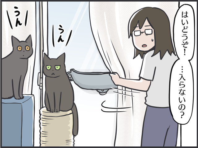 ごはんやおもちゃ...猫の飽きっぽさは人間以上!? ブームの移り変わりが激しい...！／フニャコ（7）
