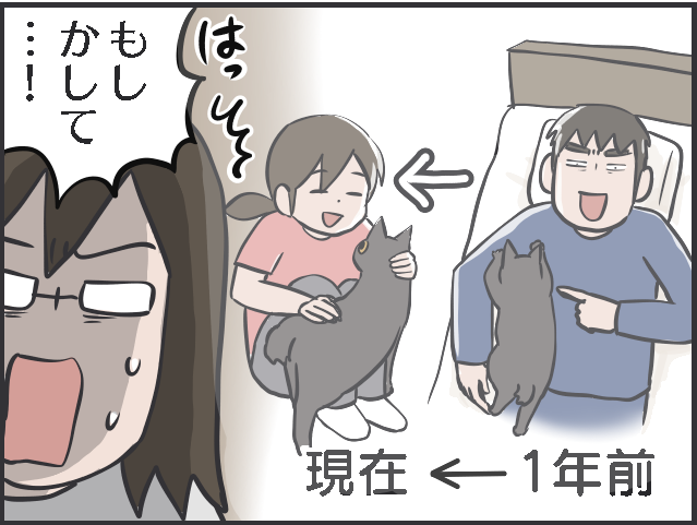 ごはんやおもちゃ...猫の飽きっぽさは人間以上!? ブームの移り変わりが激しい...！／フニャコ（8）