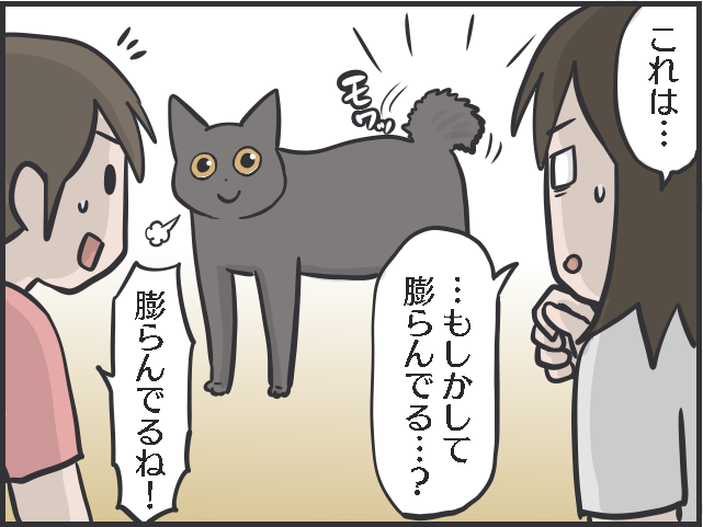 猫のしっぽについて語りたい！ 興奮してモサッと膨らむ姿も愛おしい！／フニャコ（1）