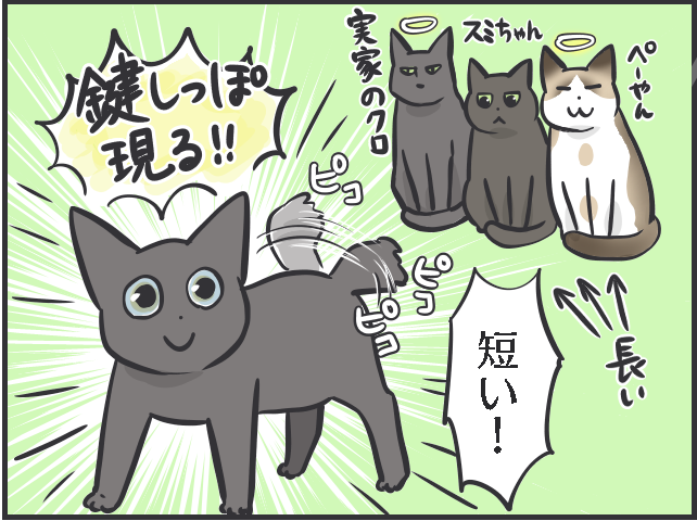 猫のしっぽについて語りたい！ 興奮してモサッと膨らむ姿も愛おしい！／フニャコ（2）