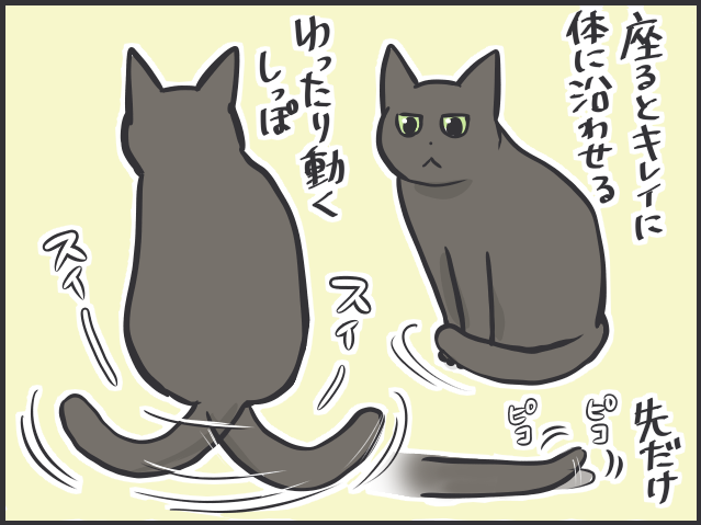 猫のしっぽについて語りたい！ 興奮してモサッと膨らむ姿も愛おしい！／フニャコ（3）