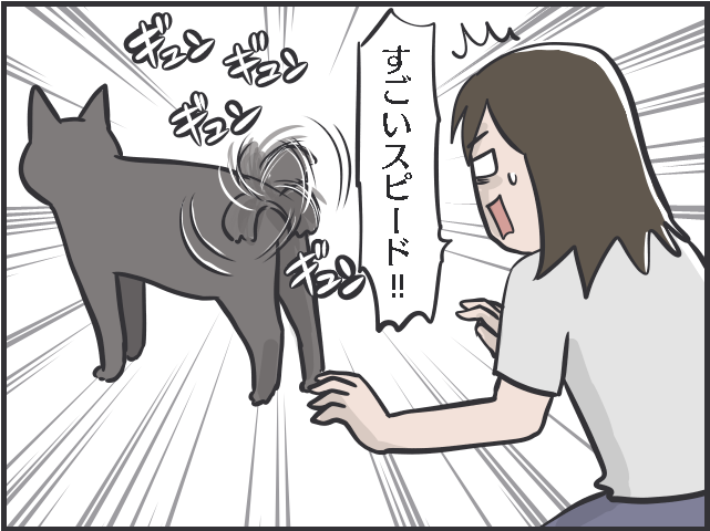 猫のしっぽについて語りたい！ 興奮してモサッと膨らむ姿も愛おしい！／フニャコ（4）