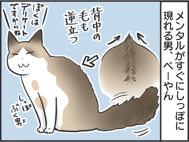 猫のしっぽについて語りたい！ 興奮してモサッと膨らむ姿も愛おしい！／フニャコ（5）