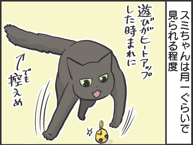 猫のしっぽについて語りたい！ 興奮してモサッと膨らむ姿も愛おしい！／フニャコ（6）