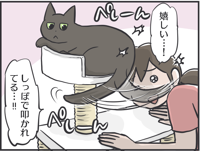 猫のしっぽについて語りたい！ 興奮してモサッと膨らむ姿も愛おしい！／フニャコ（9）