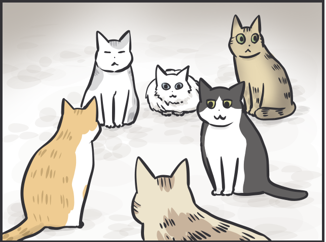 天国のぺーやんが戻ってきた!? 猫にまつわる不思議な出来事／フニャコ（2）