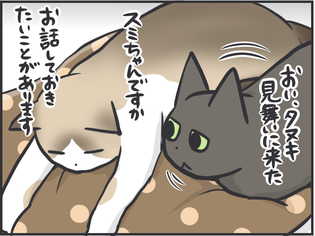 天国のぺーやんが戻ってきた!? 猫にまつわる不思議な出来事／フニャコ（5）
