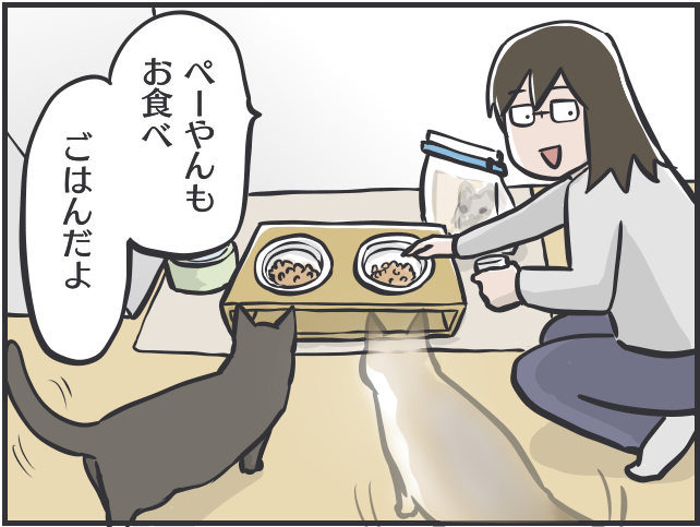 天国のぺーやんが戻ってきた!? 猫にまつわる不思議な出来事／フニャコ（9）