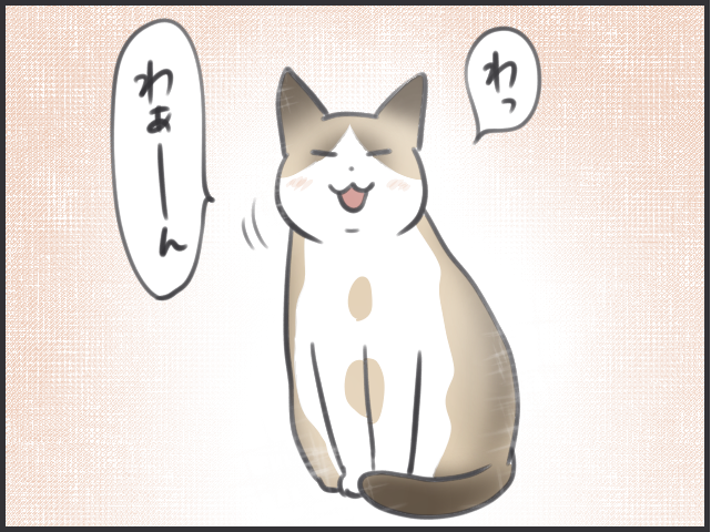 天国のぺーやんが戻ってきた!? 猫にまつわる不思議な出来事／フニャコ（10）