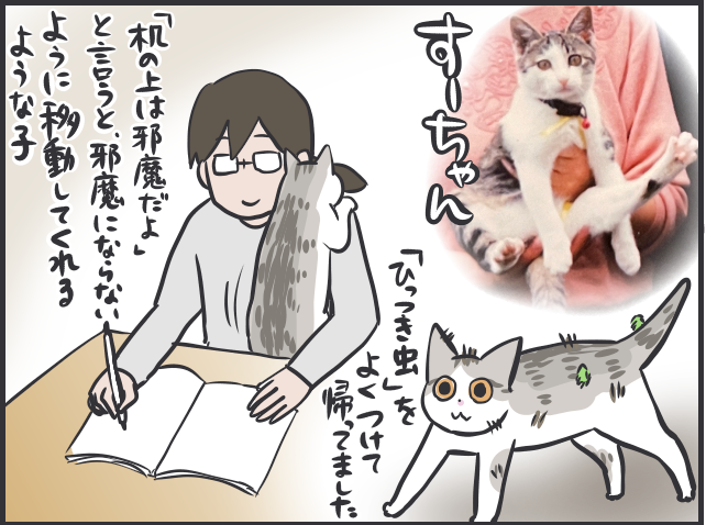 血を流して帰ってきた猫の姿が忘れられない...あの時、完全室内飼いにしていれば／フニャコ（2）