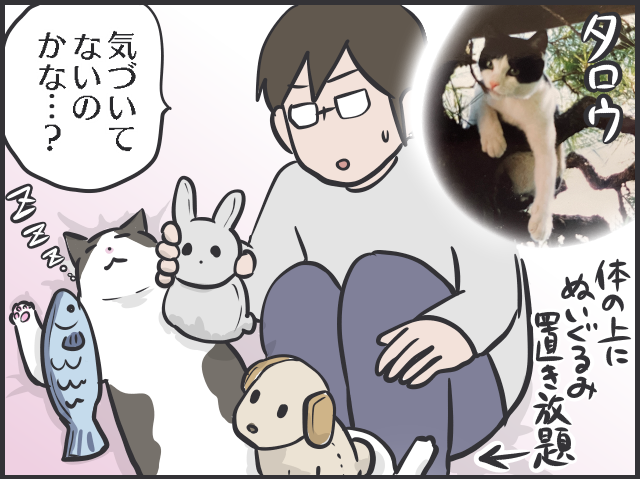 血を流して帰ってきた猫の姿が忘れられない...あの時、完全室内飼いにしていれば／フニャコ（4）