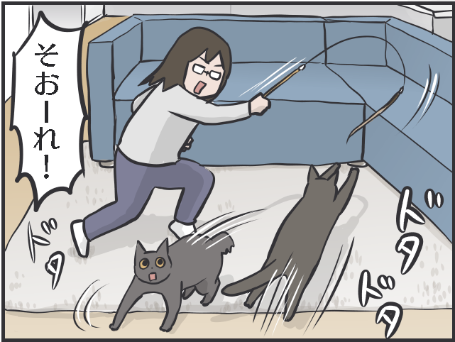 血を流して帰ってきた猫の姿が忘れられない...あの時、完全室内飼いにしていれば／フニャコ（7）