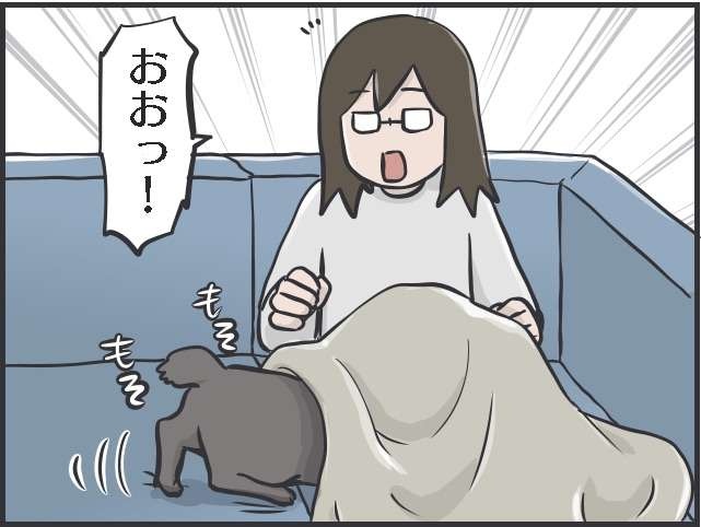 怖くないよ〜布団においで！ いつもはベタベタ甘えなくても冬に嬉しい猫のぬくもり／フニャコ（3）