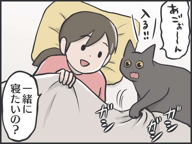 怖くないよ〜布団においで！ いつもはベタベタ甘えなくても冬に嬉しい猫のぬくもり／フニャコ（4）