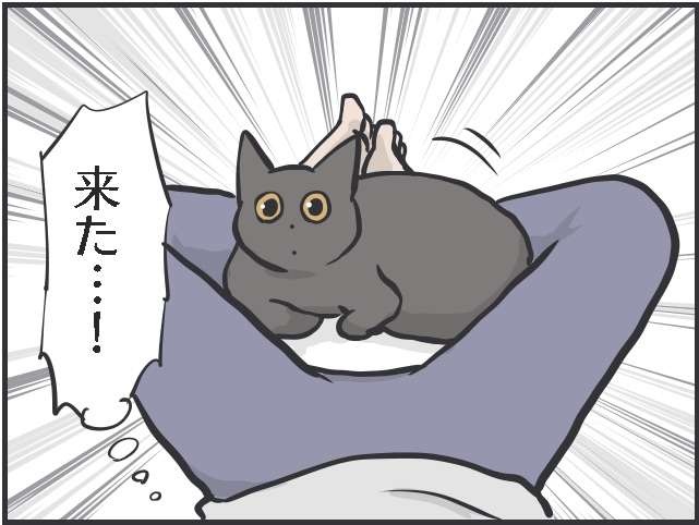 怖くないよ〜布団においで！ いつもはベタベタ甘えなくても冬に嬉しい猫のぬくもり／フニャコ（7）