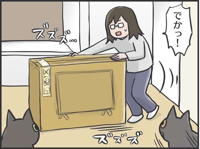 空き段ボール箱の中からこんにちは〜！ テレビを設置したい私 VS 邪魔したい猫／フニャコ（2）