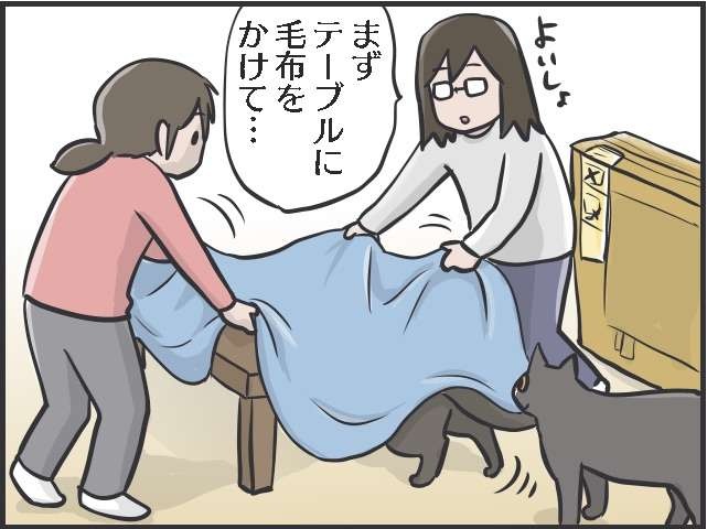 空き段ボール箱の中からこんにちは〜！ テレビを設置したい私 VS 邪魔したい猫／フニャコ（3）