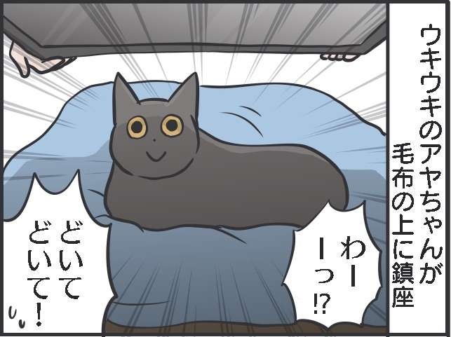 空き段ボール箱の中からこんにちは〜！ テレビを設置したい私 VS 邪魔したい猫／フニャコ（5）