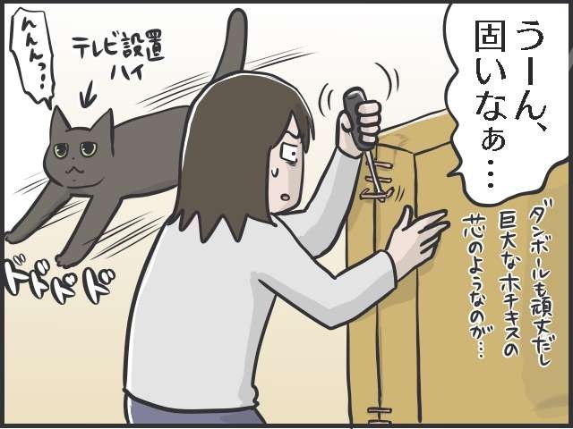 空き段ボール箱の中からこんにちは〜！ テレビを設置したい私 VS 邪魔したい猫／フニャコ（8）