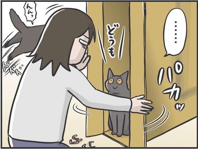 空き段ボール箱の中からこんにちは〜！ テレビを設置したい私 VS 邪魔したい猫／フニャコ（9）