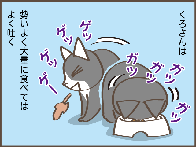 猫は食べ過ぎると...！ 大量にごはんをあげられない愛猫に我が家に導入したアイテムは？／しまえもん（1）