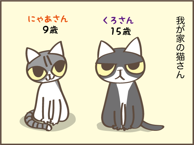 猫は食べ過ぎると...！ 大量にごはんをあげられない愛猫に我が家に導入したアイテムは？／しまえもん（2）