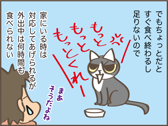 猫は食べ過ぎると...！ 大量にごはんをあげられない愛猫に我が家に導入したアイテムは？／しまえもん（5）