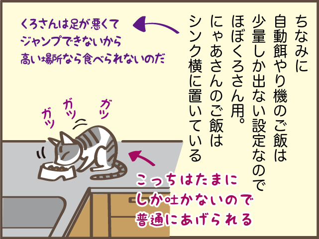 猫は食べ過ぎると...！ 大量にごはんをあげられない愛猫に我が家に導入したアイテムは？／しまえもん（10）