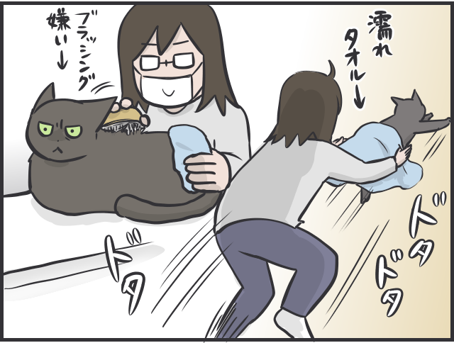 猫との暮らしを愛する私が「猫アレルギー」になってしまった！ これからどうする？／フニャコ（4）