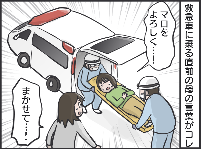 「猫をお願い...」入院した母の飼い猫を世話しに行くも、一筋縄じゃいかなくて...／フニャコ（2）