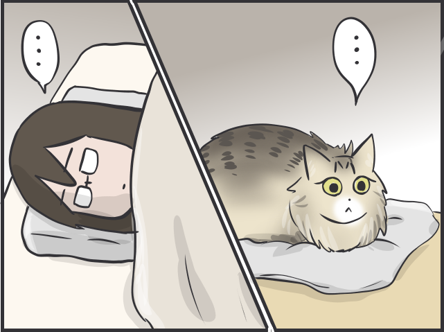 「猫をお願い...」入院した母の飼い猫を世話しに行くも、一筋縄じゃいかなくて...／フニャコ（4）