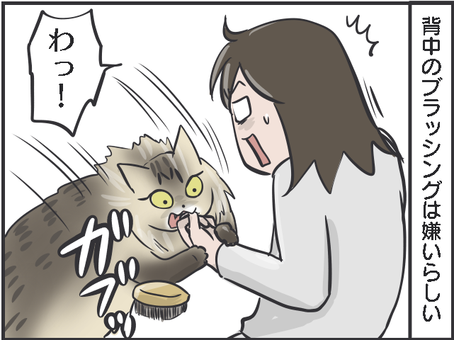 「猫をお願い...」入院した母の飼い猫を世話しに行くも、一筋縄じゃいかなくて...／フニャコ（6）