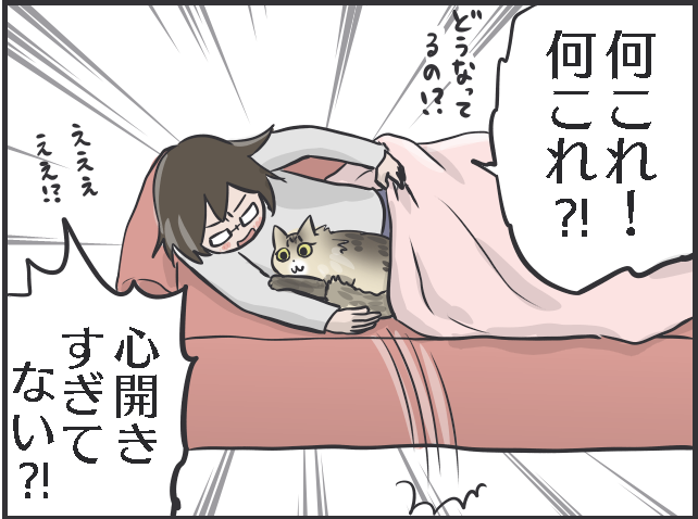 「猫をお願い...」入院した母の飼い猫を世話しに行くも、一筋縄じゃいかなくて...／フニャコ（8）