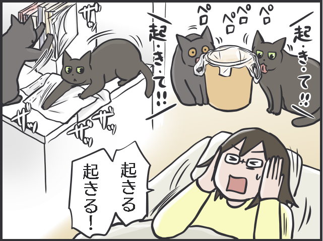 先輩猫の影響力たるや！ 日に日に行動が似てくる2匹の猫たち／フニャコ（3）