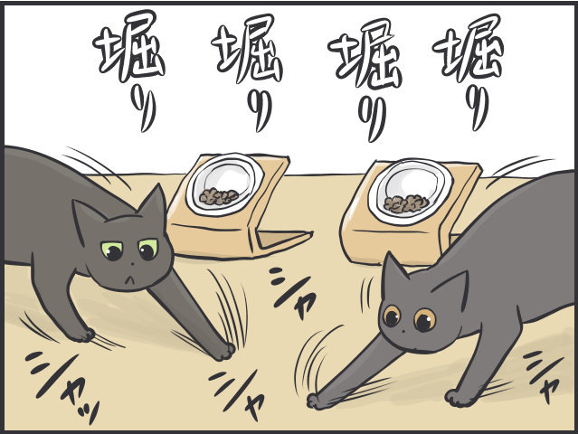 先輩猫の影響力たるや！ 日に日に行動が似てくる2匹の猫たち／フニャコ（4）