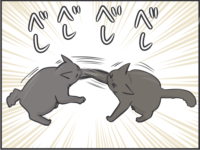 先輩猫の影響力たるや！ 日に日に行動が似てくる2匹の猫たち／フニャコ（6）
