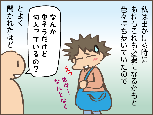 インナーバッグでぐちゃぐちゃのバッグがスッキリ！ でもひとつ残念なことが...／しまえもん（2）