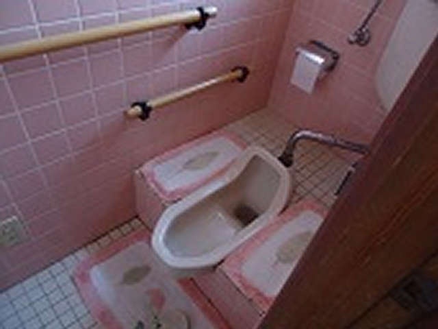 段差だらけだった和式トイレが生まれ変わった！ 我が家のバリアフリー化の第一歩／山田あしゅら（2）