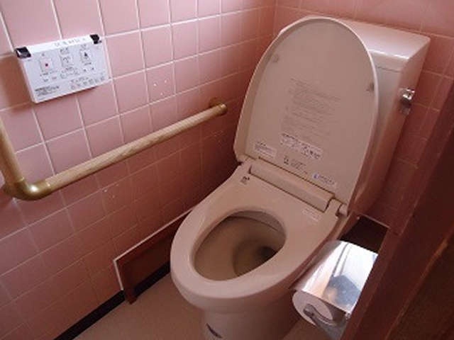 段差だらけだった和式トイレが生まれ変わった！ 我が家のバリアフリー化の第一歩／山田あしゅら（3）